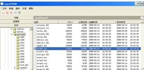 银行大盗及窃取密码——ZUES(宙斯)木马分析报告