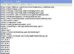 银行大盗及窃取密码——ZUES(宙斯)木马分析报告