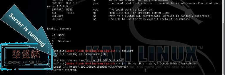 Metasploit CVE-2015-5122 Flash漏洞利用教程