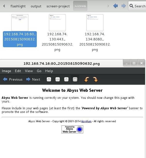 Flashlight：用于渗透测试的自动化信息收集工具