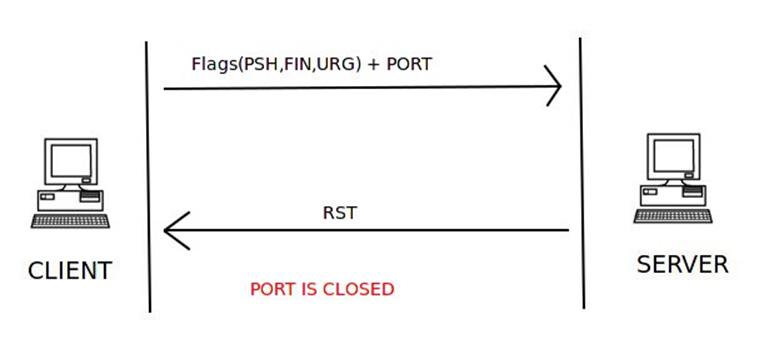 如何用Scapy写一个端口扫描器？