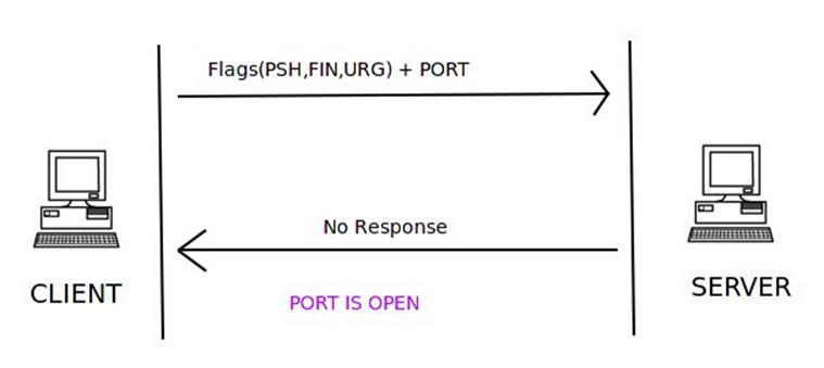 如何用Scapy写一个端口扫描器？