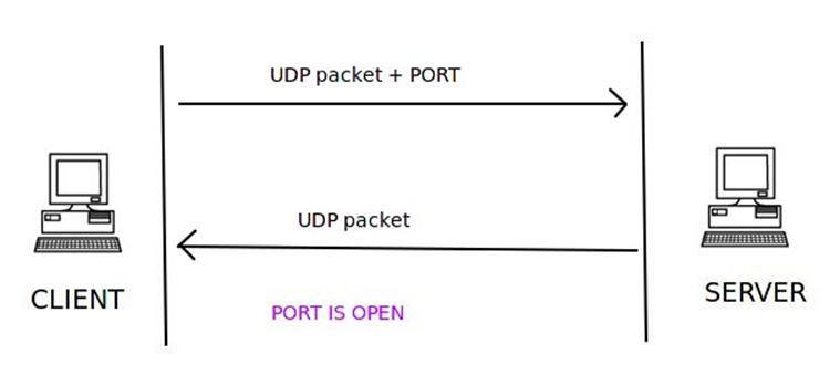 如何用Scapy写一个端口扫描器？