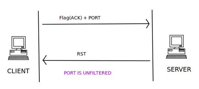 如何用Scapy写一个端口扫描器？