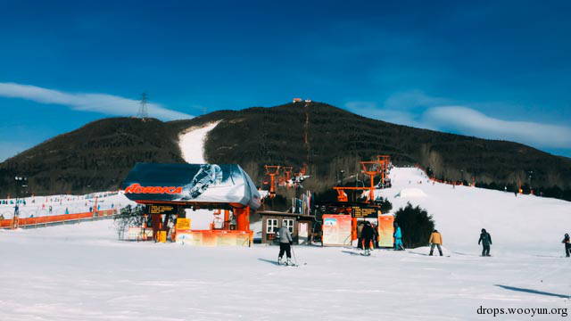 滥用图片博客做