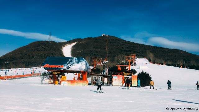 滥用图片博客做