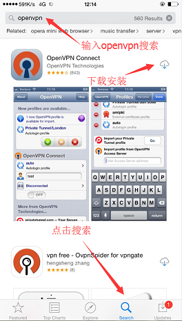 一键搭建移动联通电信免流服务器间易教程