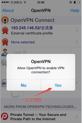 一键搭建移动联通电信免流服务器间易教程