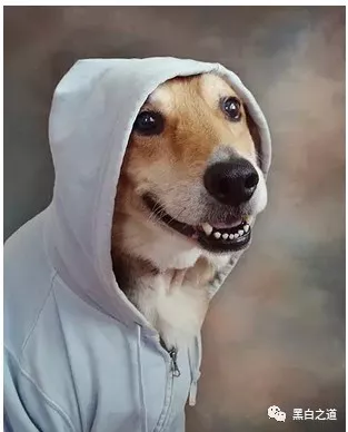 图片[5]-2018国外黑客首选：Telegram加密聊天软件