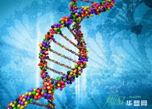 DNA检测公司MyHeritage遭黑客入侵：9200万账户泄露