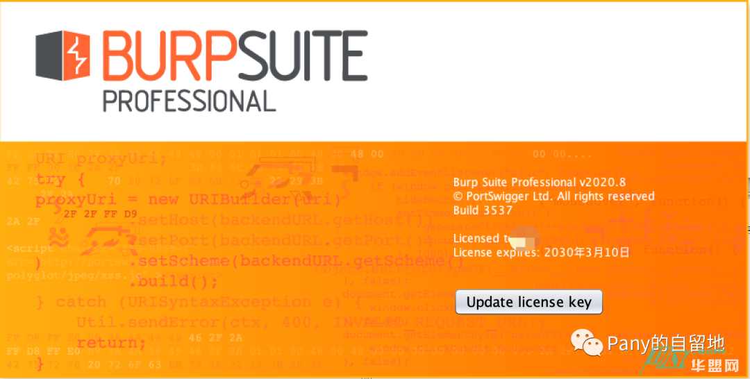 Burp Suite Pro v2020.8 Loader & Keygen