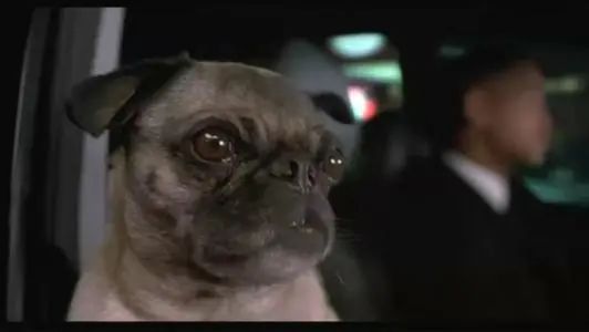 大型攻防演习红与蓝方的职能是什么？