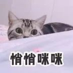 手把手教你做挖矿应急响应