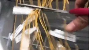 手把手教你做挖矿应急响应