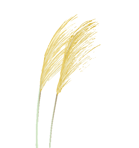 多个APT组织趁着俄乌乱局的掩护发起针对其他目标的攻击