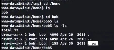 红队渗透项目之MinUv1
