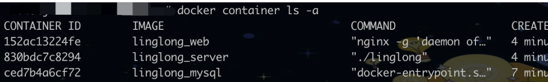 资产巡航扫描系统 -- linglong