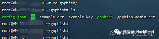 实战｜记一次企业钓鱼演练