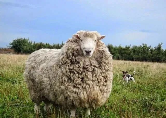 一次黑产链接分析引发的渗透测试