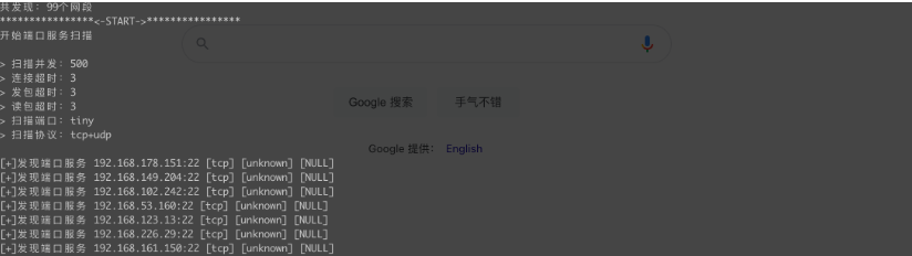 轻量级内网资产探测漏洞扫描工具