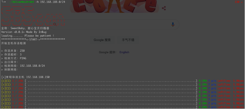 轻量级内网资产探测漏洞扫描工具