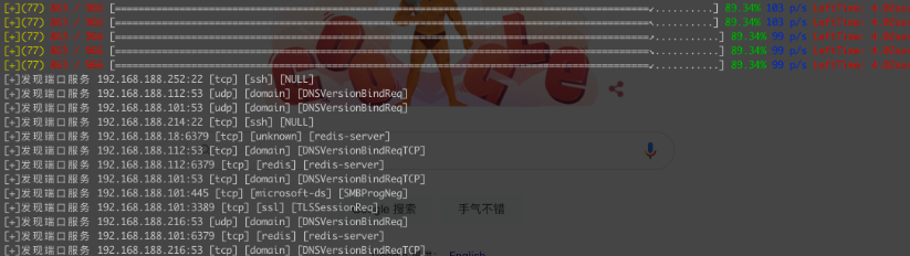 轻量级内网资产探测漏洞扫描工具