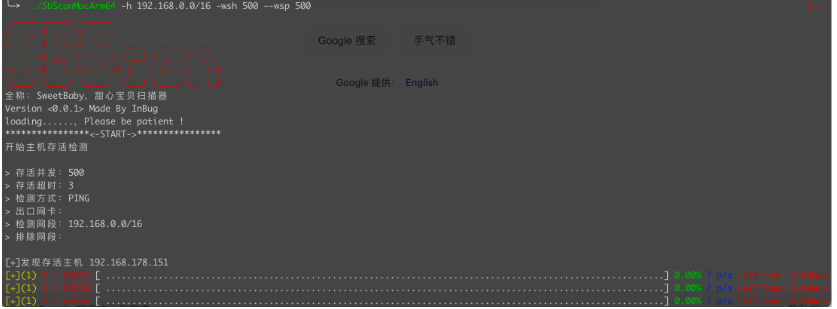 轻量级内网资产探测漏洞扫描工具