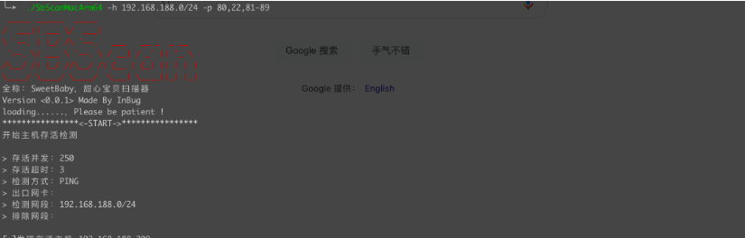 轻量级内网资产探测漏洞扫描工具